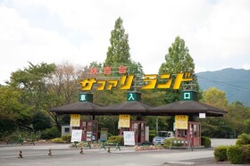 Trip Base Coconeel