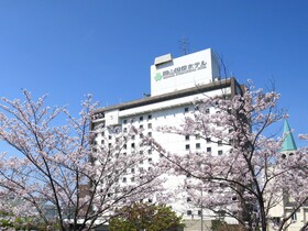 Okayama International