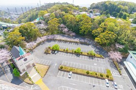 Okayama International