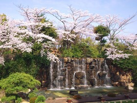 Okayama International