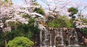 Okayama International