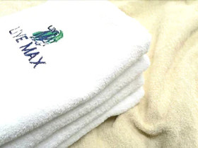 Hotel Livemax Minamihashimoto Ekimae
