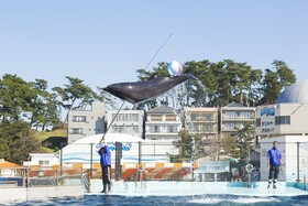 Tojinbo Mikuni Onsen Ootoku