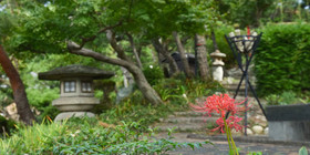 Hotel Hagoromo