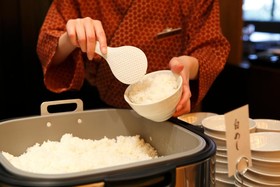 Hida Hanasatonoyu Takayama Ouan