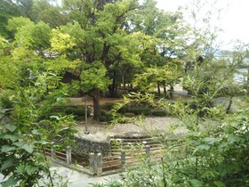 Yuya Takanoyu Bekkan