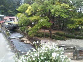 Yuya Takanoyu Bekkan
