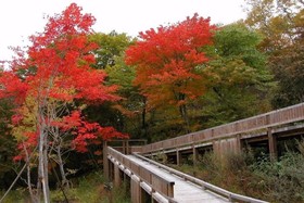 Kyukamura Tsumagoi Kazawa