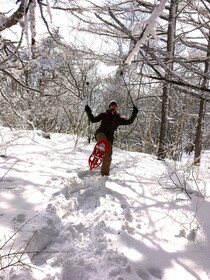 Joshin’etsukogen National Park Hotel Fujiya