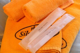 Pension Silver Spray