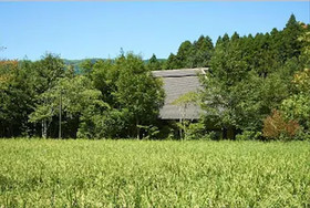 Asono Yamaboshi