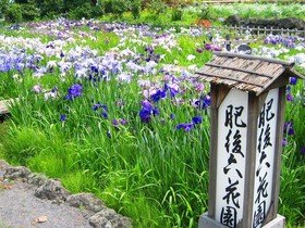 Aso No Tsukasa Villa Park Hotel & Resort