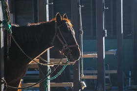 El Patio Ranch