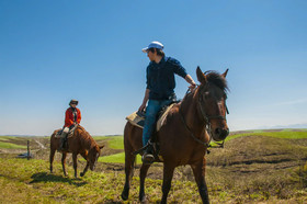 El Patio Ranch
