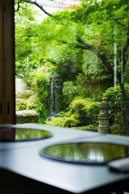 Hotel Shiragiku