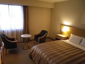 Ark Hotel Royal Fukuoka Tenjin