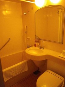 Ark Hotel Royal Fukuoka Tenjin