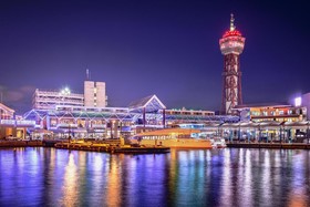 Coco Fukuoka Chiyo