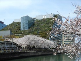 Fukuoka Floral Inn Nishinakasu