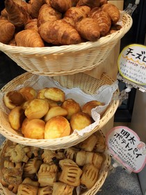 Fukuoka Floral Inn Nishinakasu