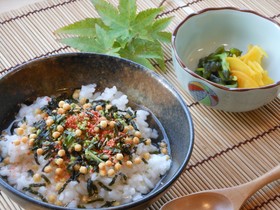 Fukuoka Floral Inn Nishinakasu