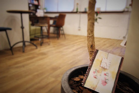 Hostel Toki