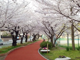 Hotel Wbf Grande Hakata