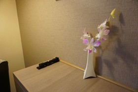 Nikko Fukuoka