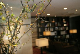Plaza Hotel Tenjin