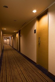 the b hakata
