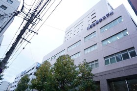 Yaoji Hakata