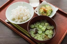 Saito-shukuba Hostel