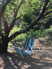 Sakura Beach Garden