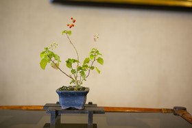 Hotel New Nishino