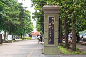 Kagoshima Tokyu Rei Hotel