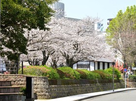 Kagoshima Tokyu Rei Hotel
