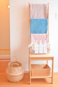 The Hotel Kamoike