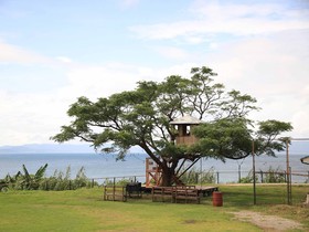 Yukusa Ohsumi Umi no Gakko