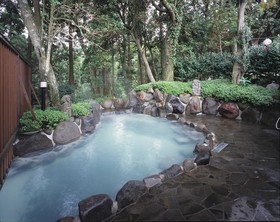 Hotel Kirishima Castle