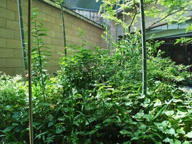 Ark Hotel Kumamotojo Mae