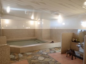 Hotel New Gaea Nishi Kumamoto Ekimae