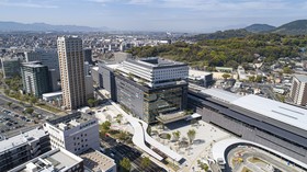 The Blossom Kumamoto