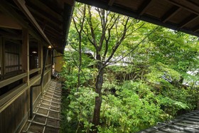 Oyado Noshiyu
