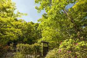 Satonoyu Waraku