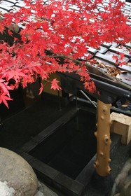 Yamashinobu