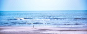 Shirahama Beach Garden
