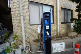 Sun Cherry Kitago