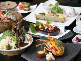 Sun Cherry Kitago