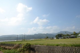 Sun Cherry Kitago