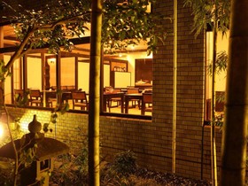 Sun Cherry Kitago